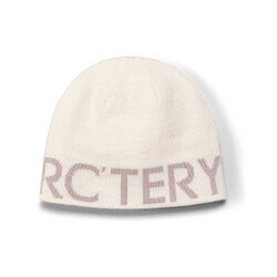 Arcteryx Word Head Toque in Arctic Silk